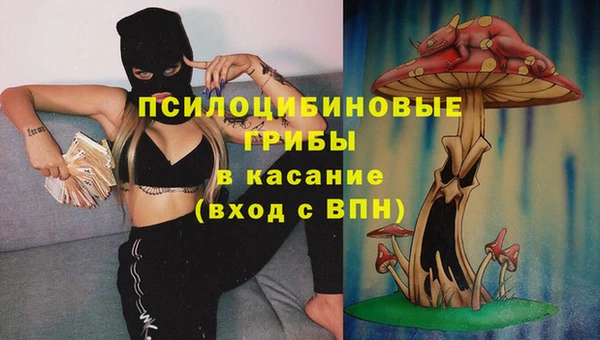 мескалин Ельня