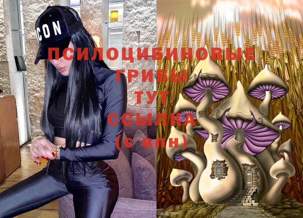 мескалин Ельня