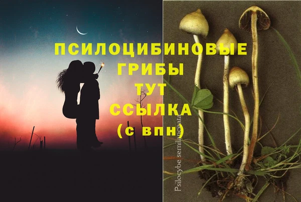 меф Елабуга